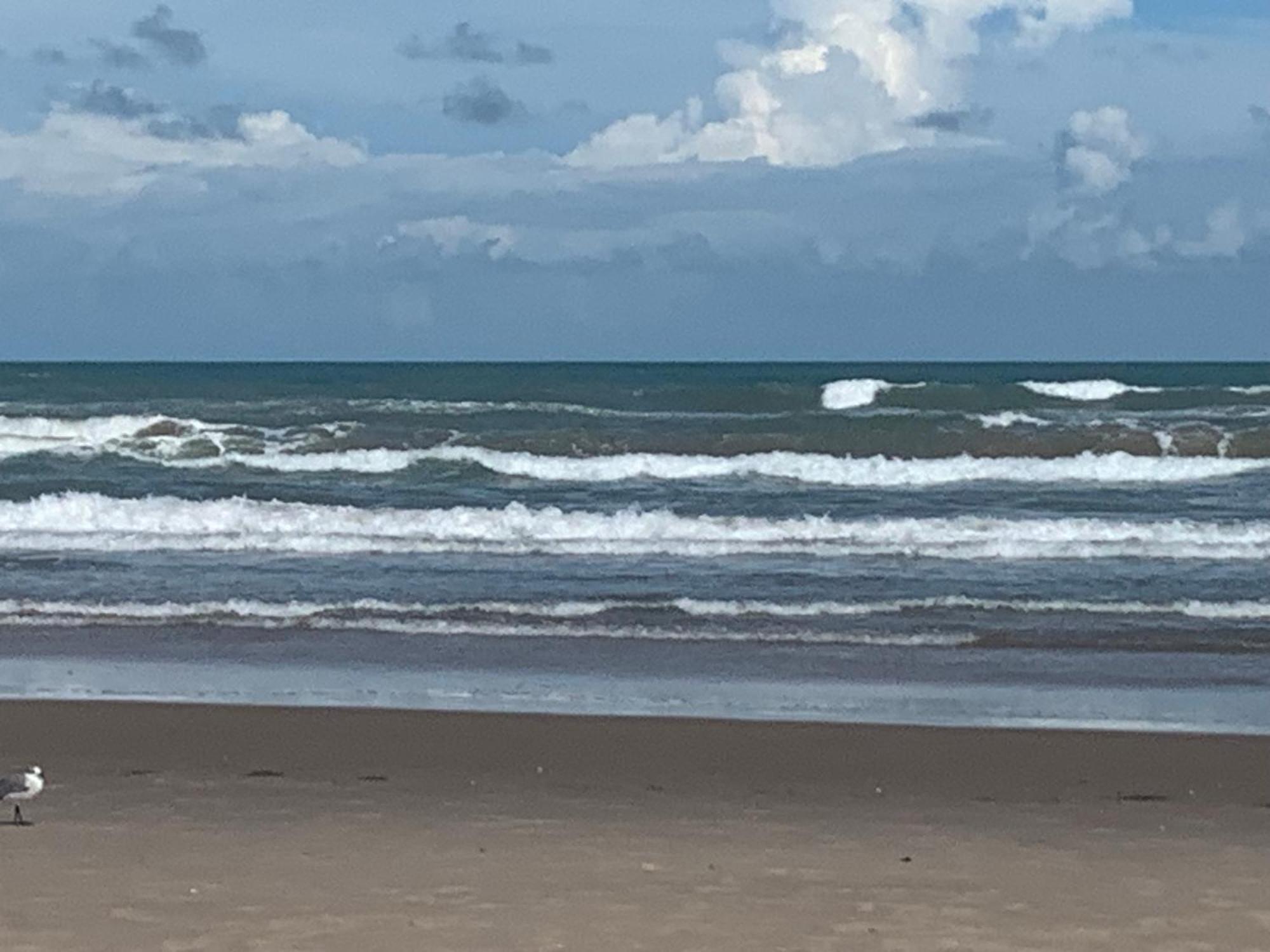 Jjs Beach Condo South Padre Island Kültér fotó